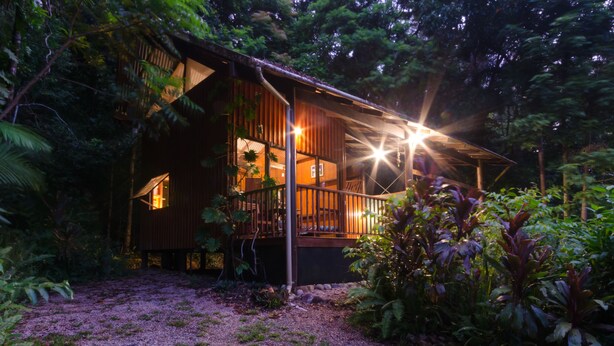 A wooden cabin with a porch, surrounded by dense foliage. - The Epiphyte Bed & Breakfast (Cow Bay)