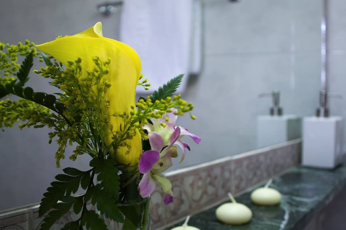 free toiletries, hair dryer, towels