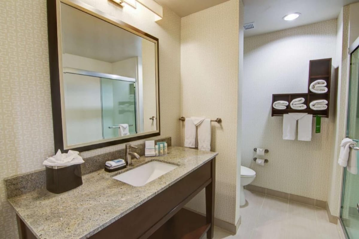 A hotel bathroom with a sink, mirror, and towel rack.