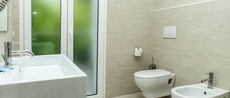 Shower, hair dryer, bidet, towels