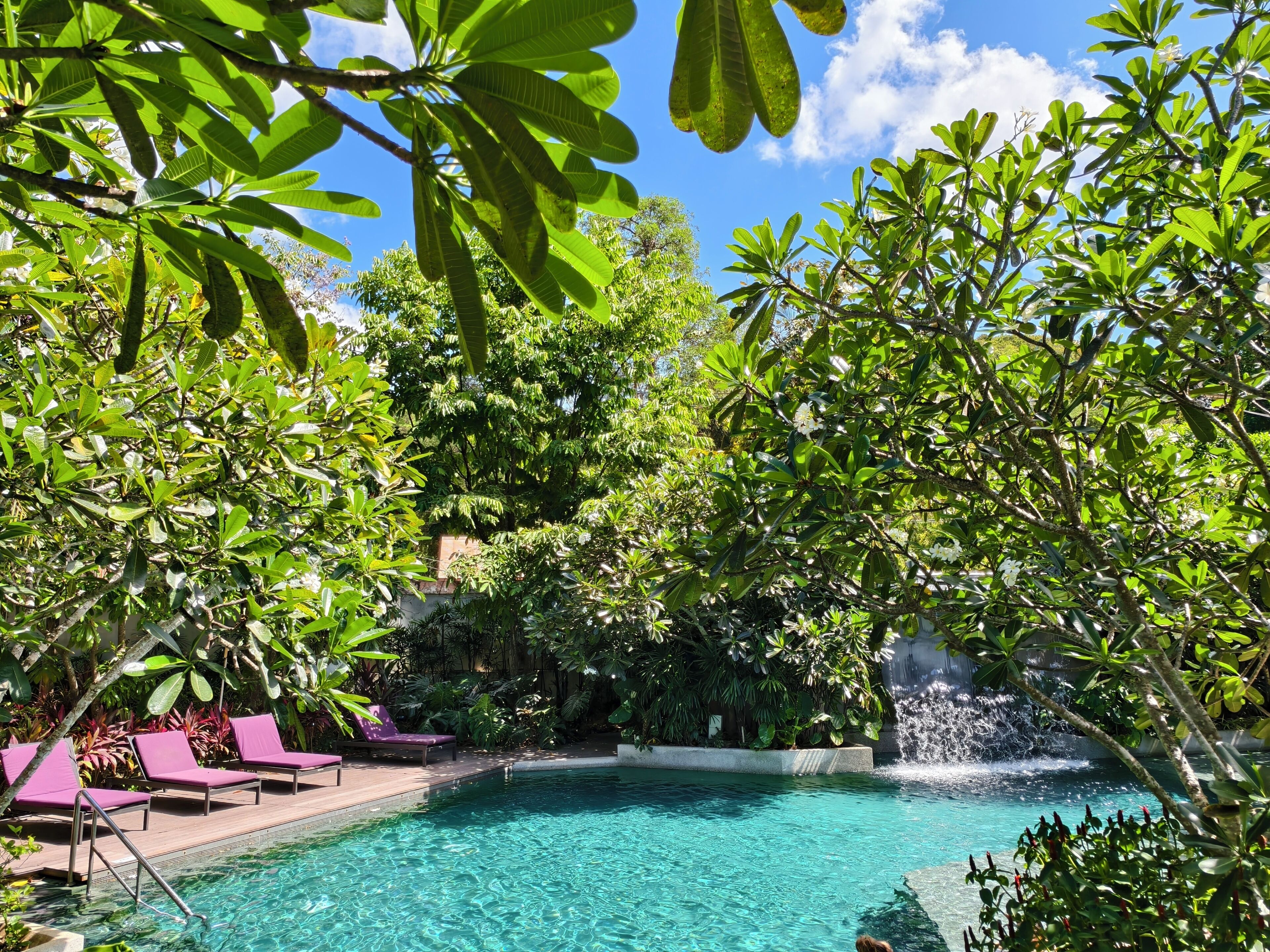 Une piscine aux eaux cristallines, entourée d’une végétation luxuriante et agrémentée d’une cascade.