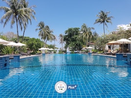 Una piscina al aire libre, sombrillas, tumbonas