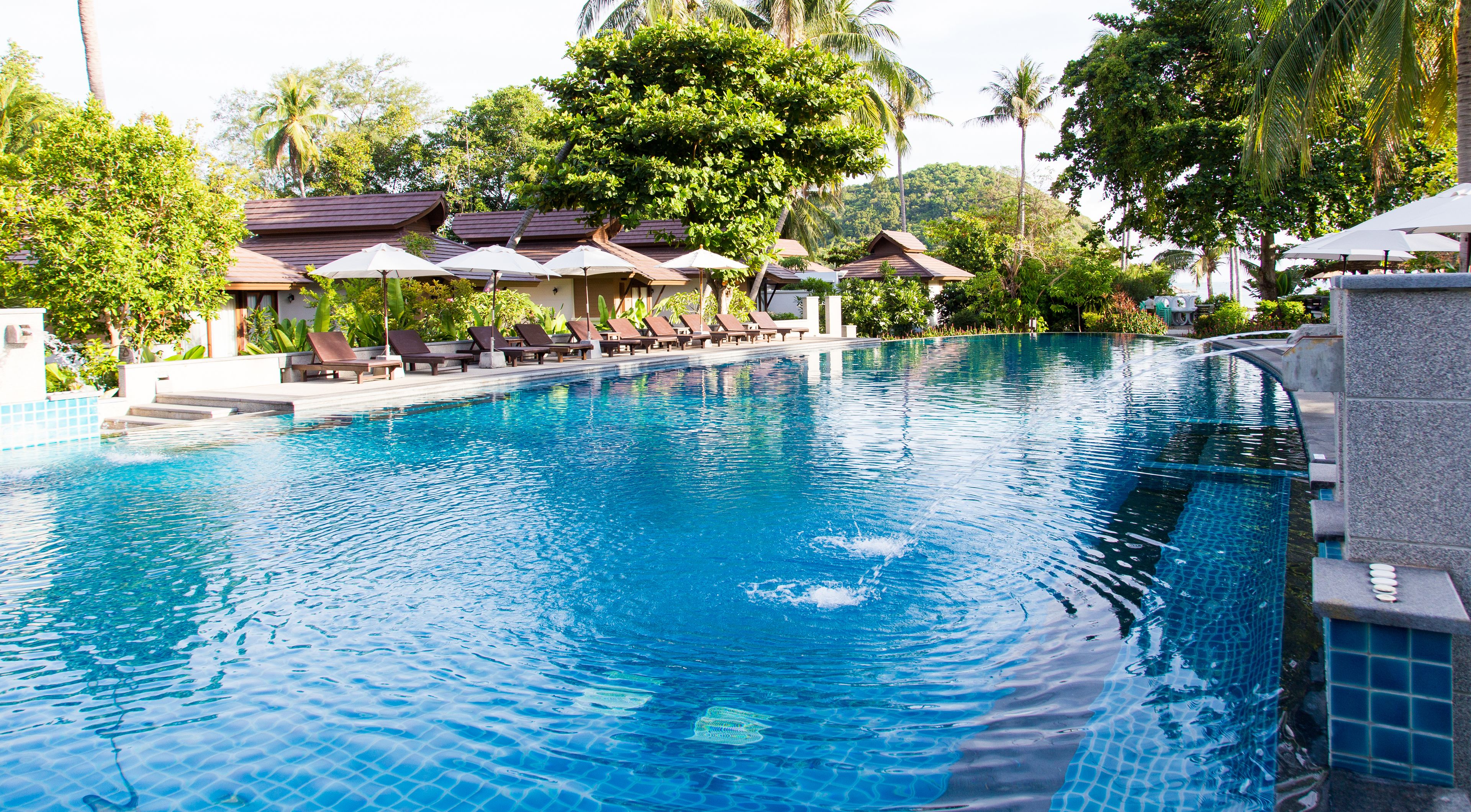 Una piscina con sillones de descanso y sombrillas, rodeada de exuberante vegetación y palmeras.