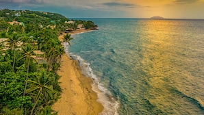 A coastal landscape with a sandy beach, palm trees, and a view of the ocean. - Casa Verde Hotel - Steps to the Beach | Pool, Restaurant & Bar (Rincon)