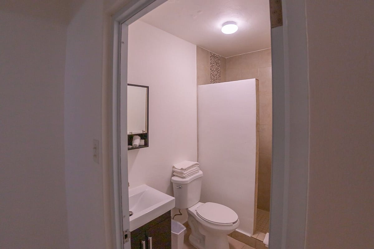 deluxe double room | bathroom | shower, free toiletries, hair dryer, towels