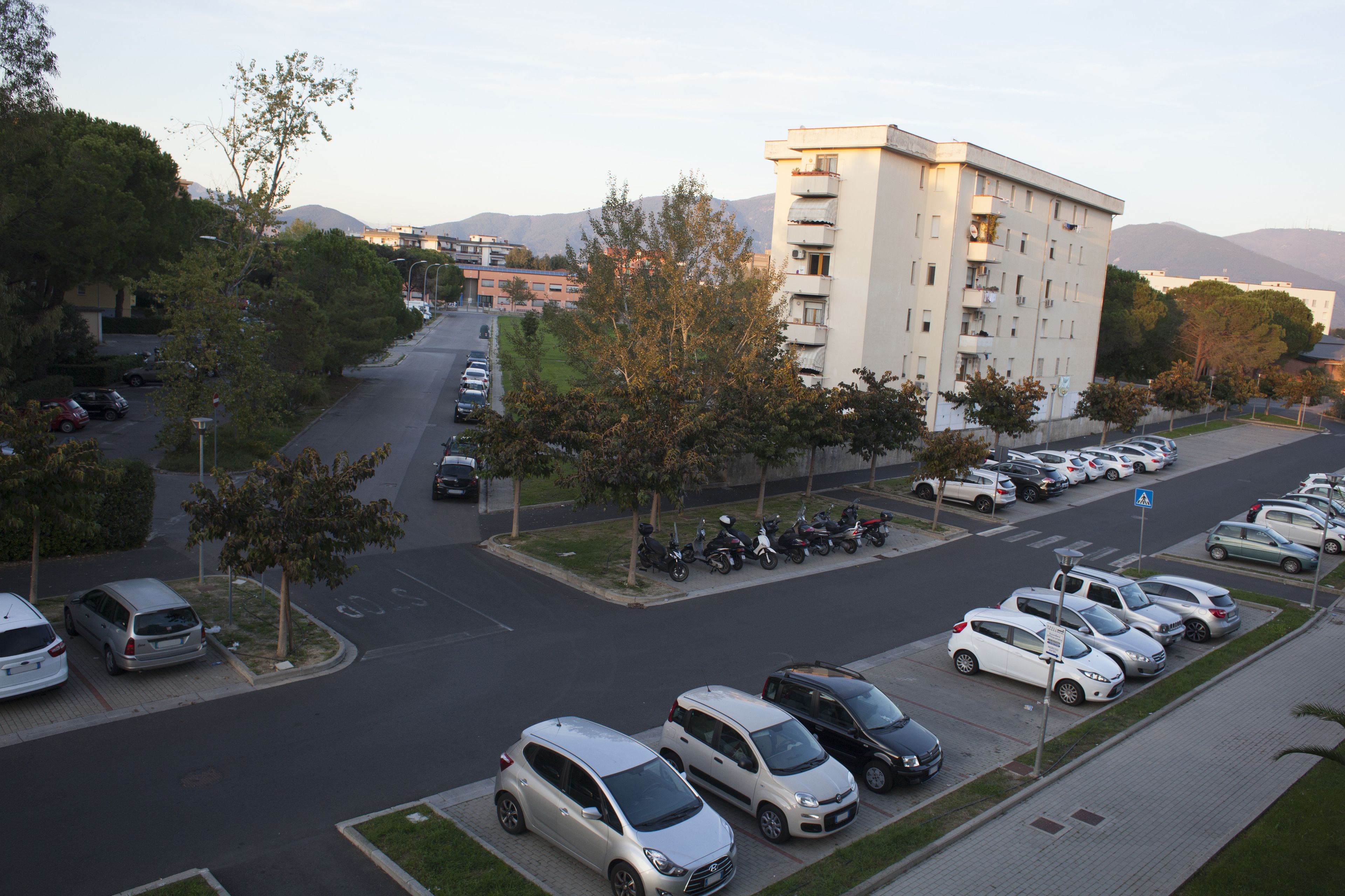 Photo - Daglingegneri