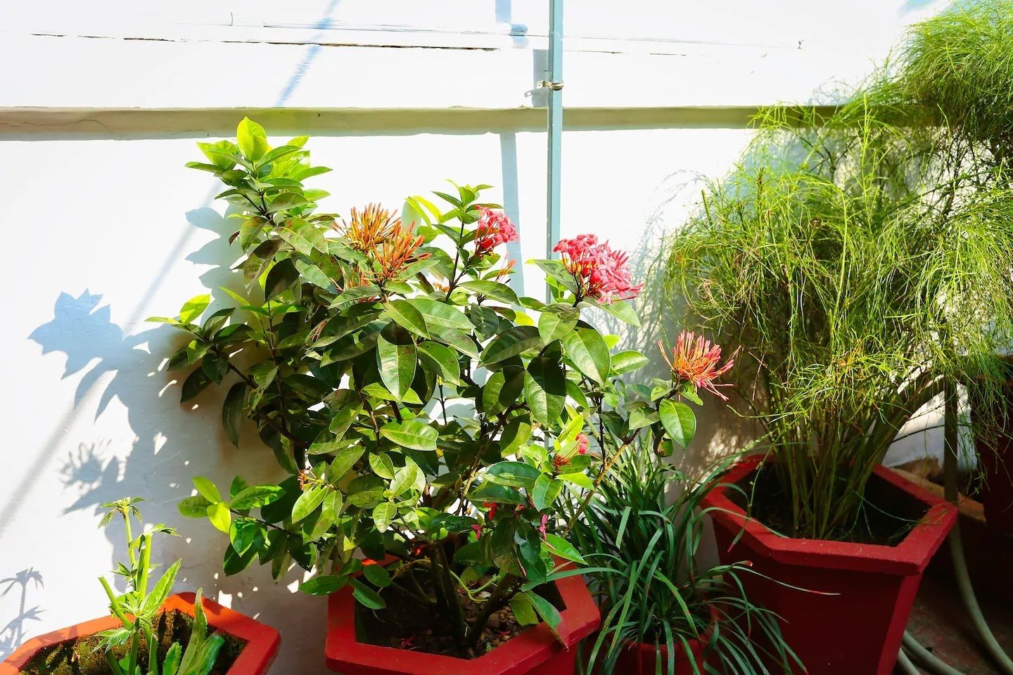 Standard AC Room | Balcony view