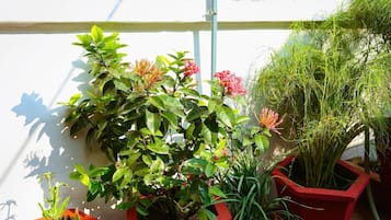 Standard AC Room | Balcony view