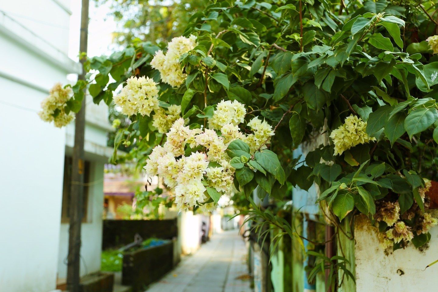 标准房 | 早餐区