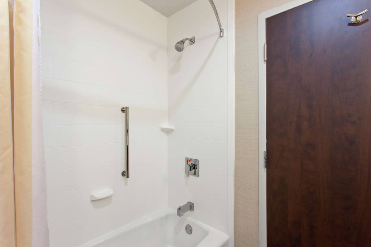 combined shower/bathtub, free toiletries, hair dryer, towels