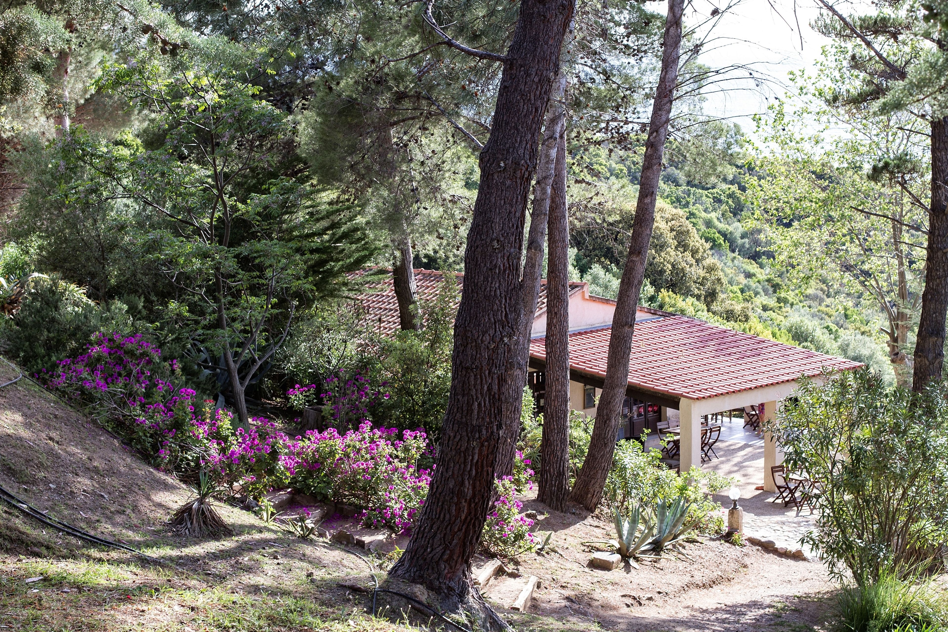 Una casa rustica con tetto in tegole rosse, immersa nel verde e circondata da piante fiorite.