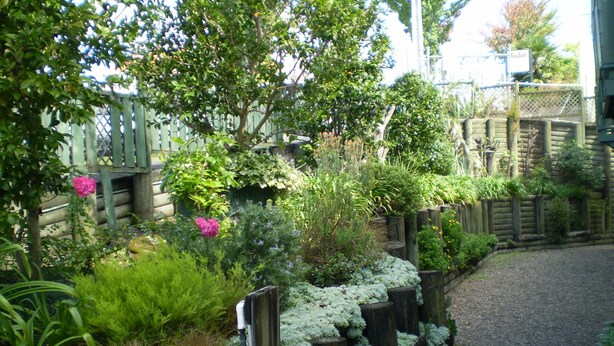 A garden with a gravel path, wooden fences, and various plants and flowers. - Ashwood Manor Motor Lodge (Hamilton)