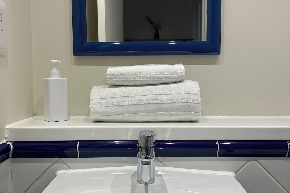 family double room, non smoking | bathroom sink