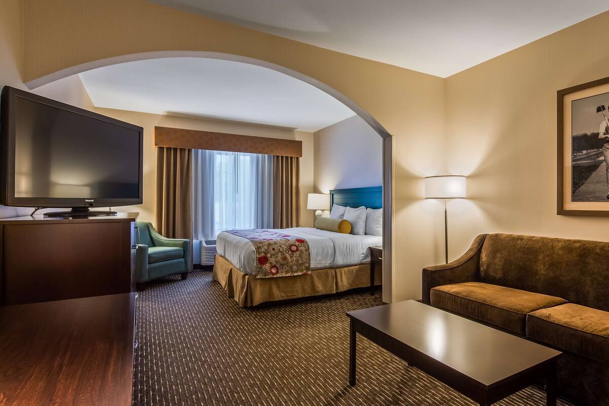 Une chambre d’hôtel avec un lit, une télévision, un canapé, un bureau et un tableau encadré au mur.