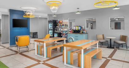 Spark by Hilton Minot