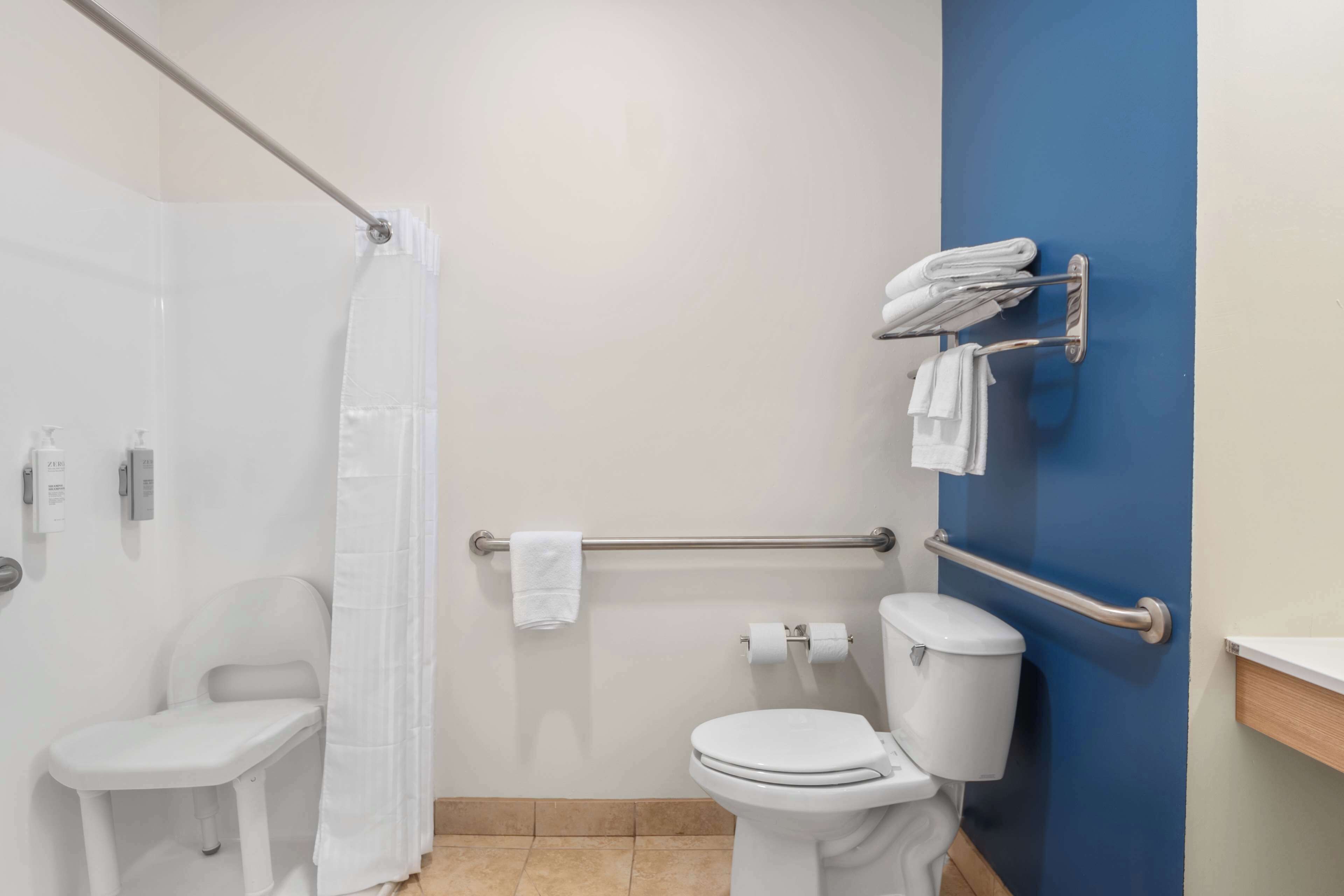 room, 1 king bed, accessible (mobility & hearing, roll-in shower) | bathroom | combined shower/bathtub, deep-soaking bathtub, free toiletries