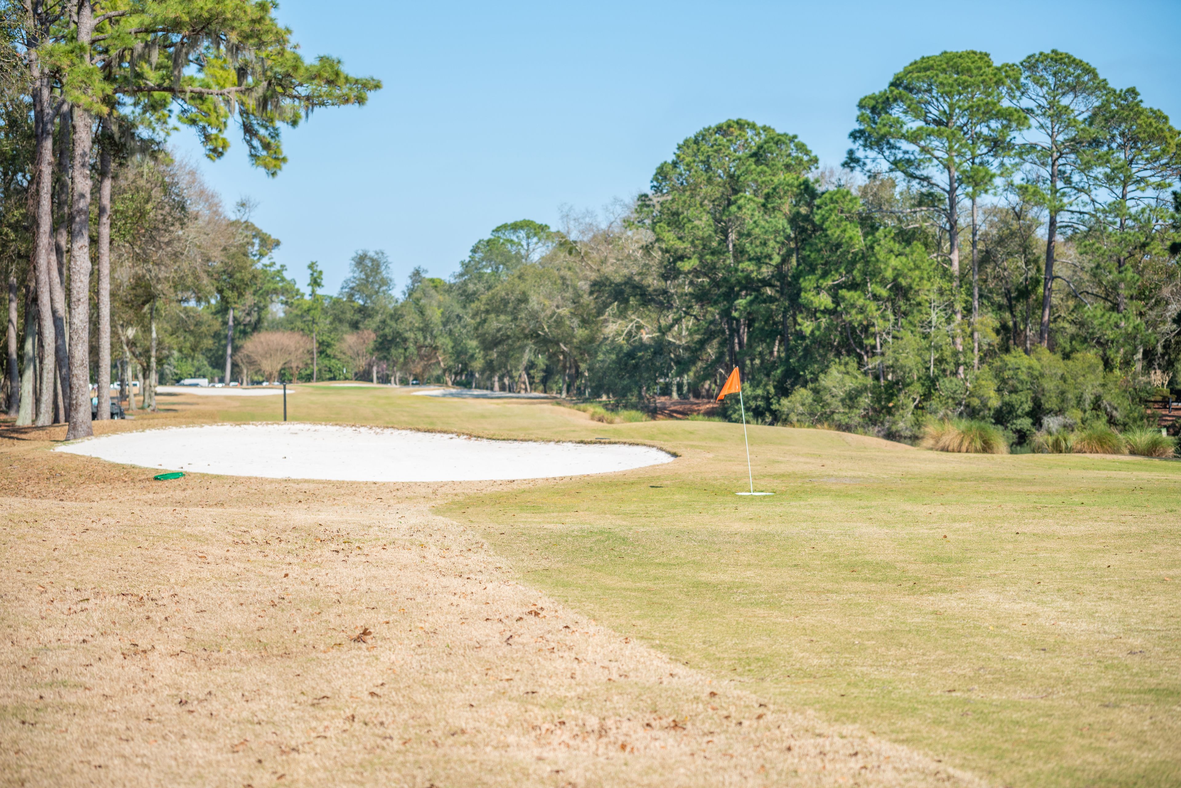 A golf course with sand bunkers, trees, and a flag on the green.