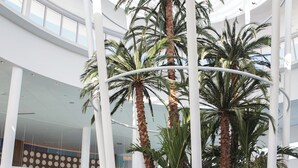 A spacious indoor atrium with high ceilings, palm trees, and modern seating areas. - Universal's Cabana Bay Beach Resort (Orlando)