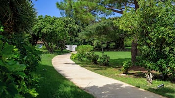 Un sendero curvo en un jardín frondoso y verde, con varios árboles y arbustos.