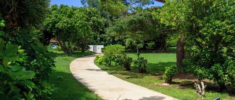 Un sendero curvo en un jardín frondoso y verde, con varios árboles y arbustos.