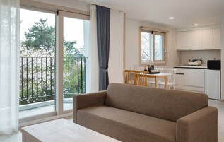 Smart TV 55 pulgadas con canales de televisión por cable, televisión