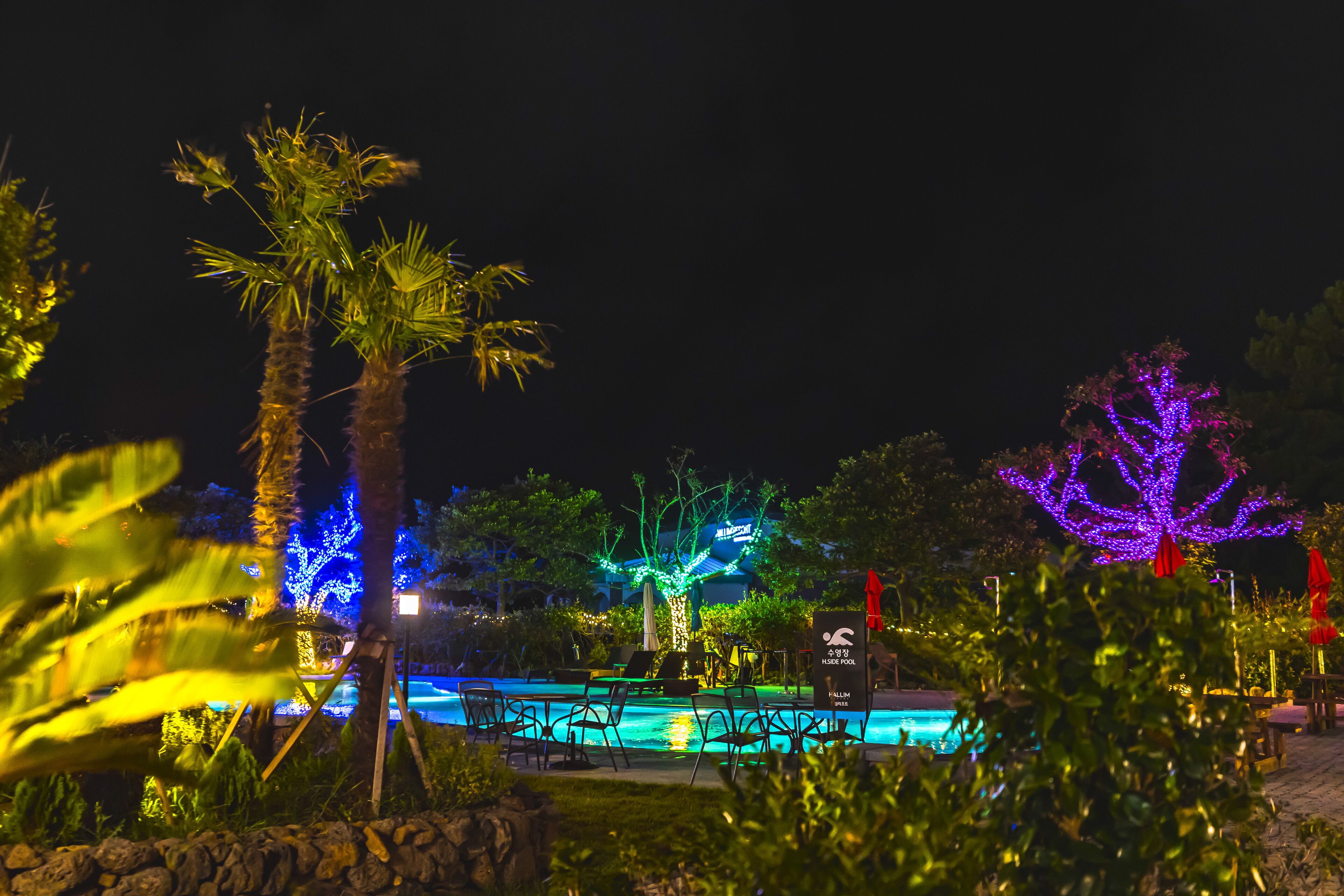 A nighttime pool area with illuminated trees and a clear view of the pool.