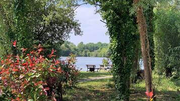 A lakeside view with a bench and picnic table, surrounded by lush greenery and trees.
