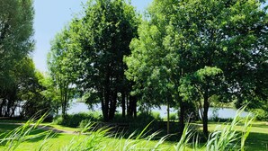 A park with trees and a lake.