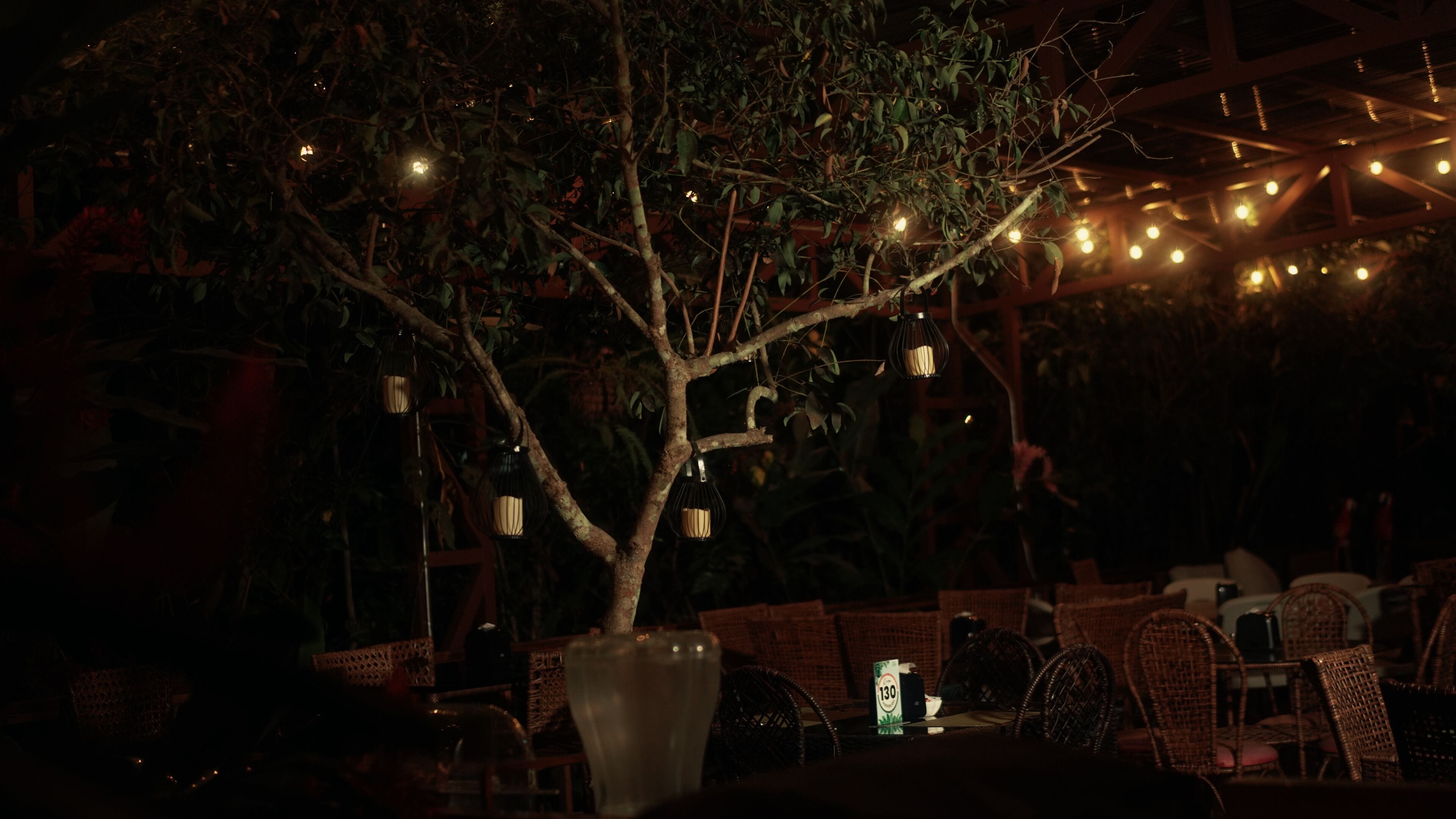 Un coin repas avec des meubles en osier, un grand vase et des guirlandes lumineuses.