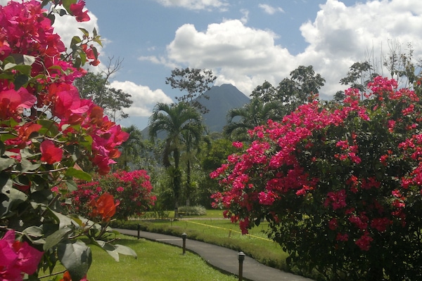 Vue depuis lâhĂ©bergement