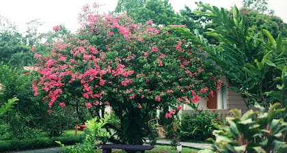 Eco Arenal Hotel