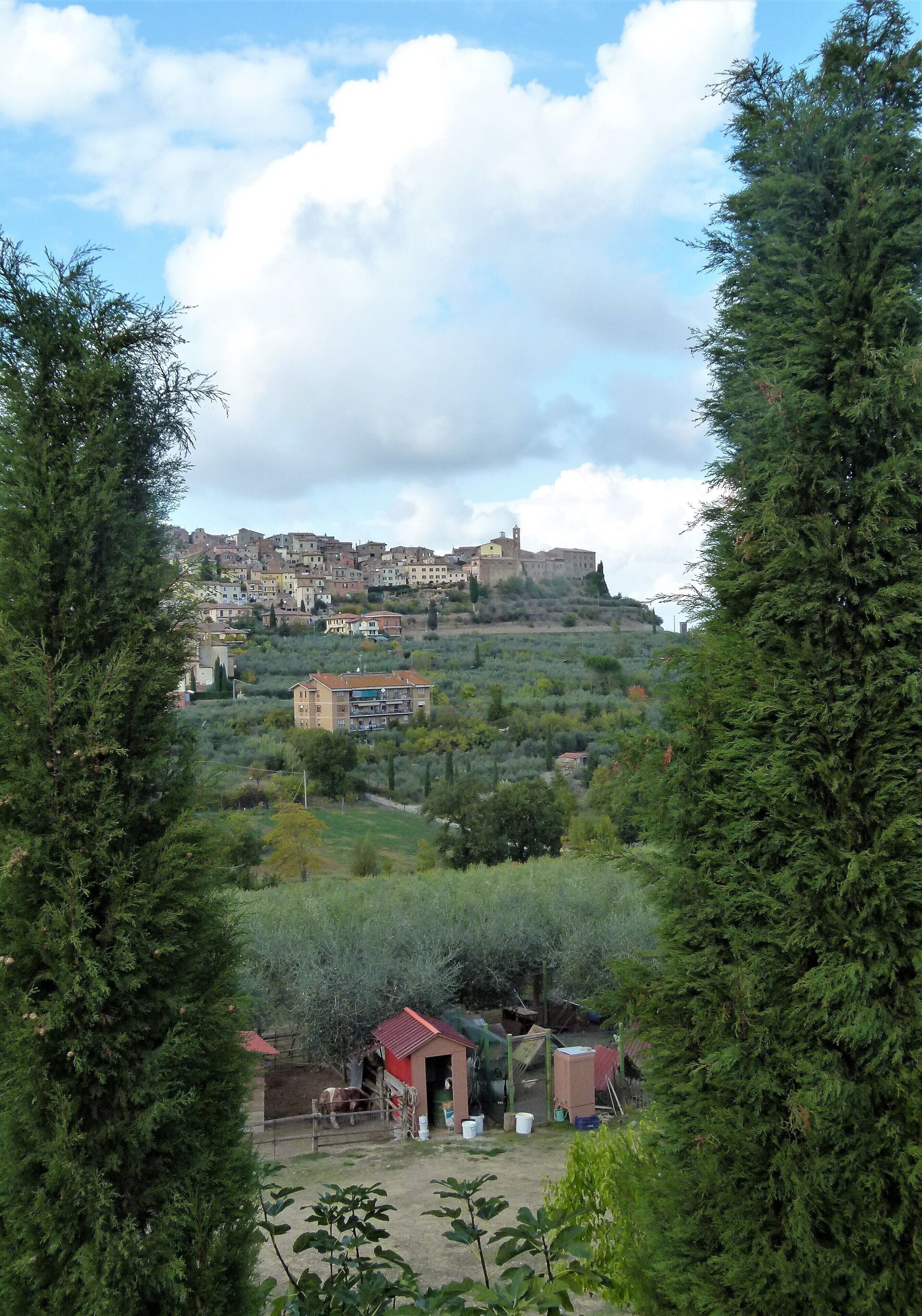 A hillside town with a prominent castle-like building in the background, surrounded by greenery and residential buildings.