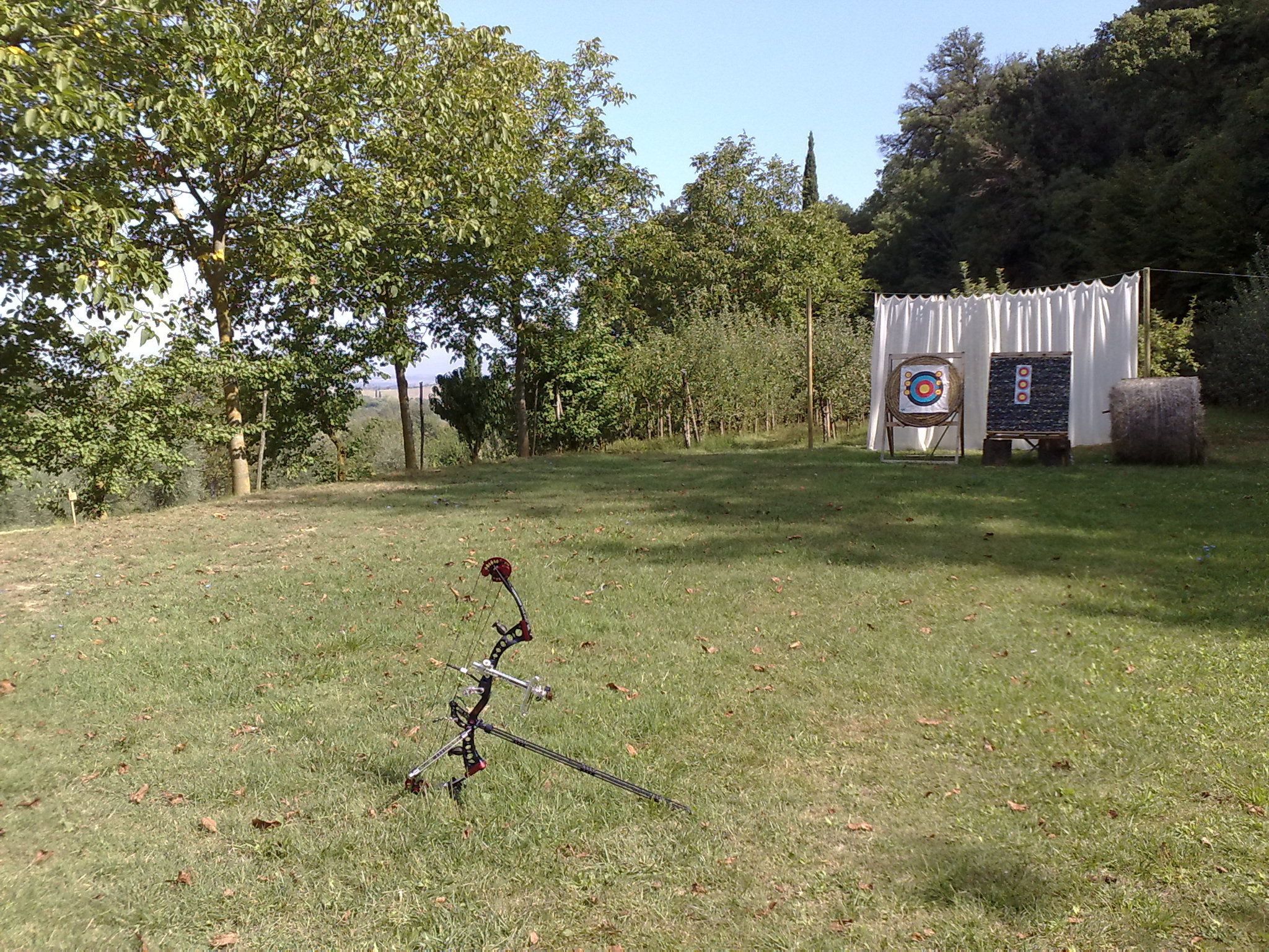 Un espacio al aire libre con un objetivo y equipo de tiro con arco.