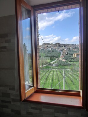 Appartement Supérieur, 1 chambre, climatisation, vue vallée | Couette en duvet d'oie, coffres-forts dans les chambres, bureau