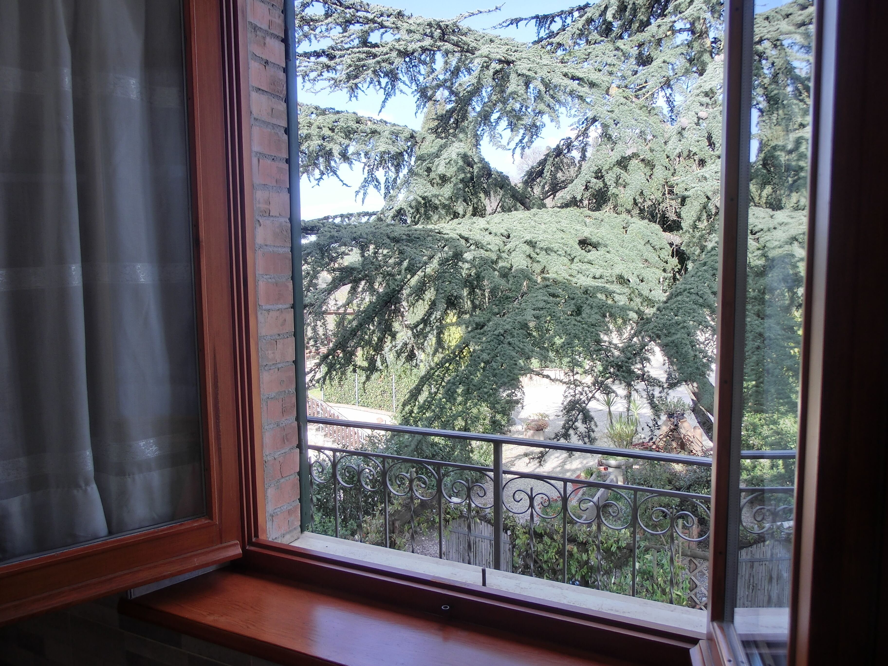 A window with a view of a balcony and trees.