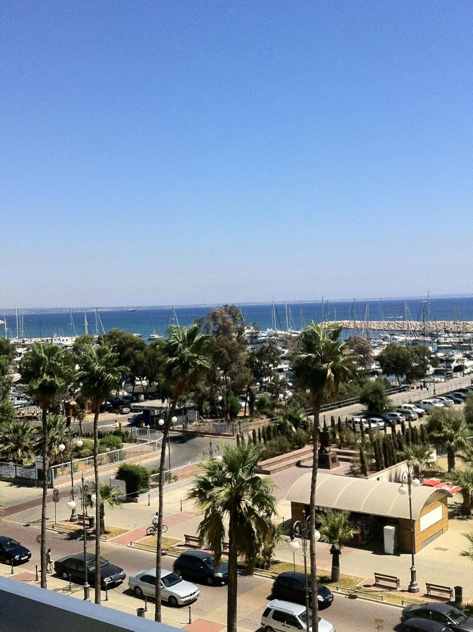A coastal view with a marina, parked cars, palm trees, and a small building with a curved roof.