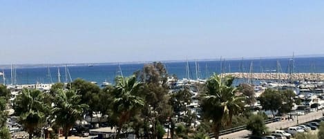 A coastal view with a marina, parked cars, palm trees, and a small building with a curved roof.