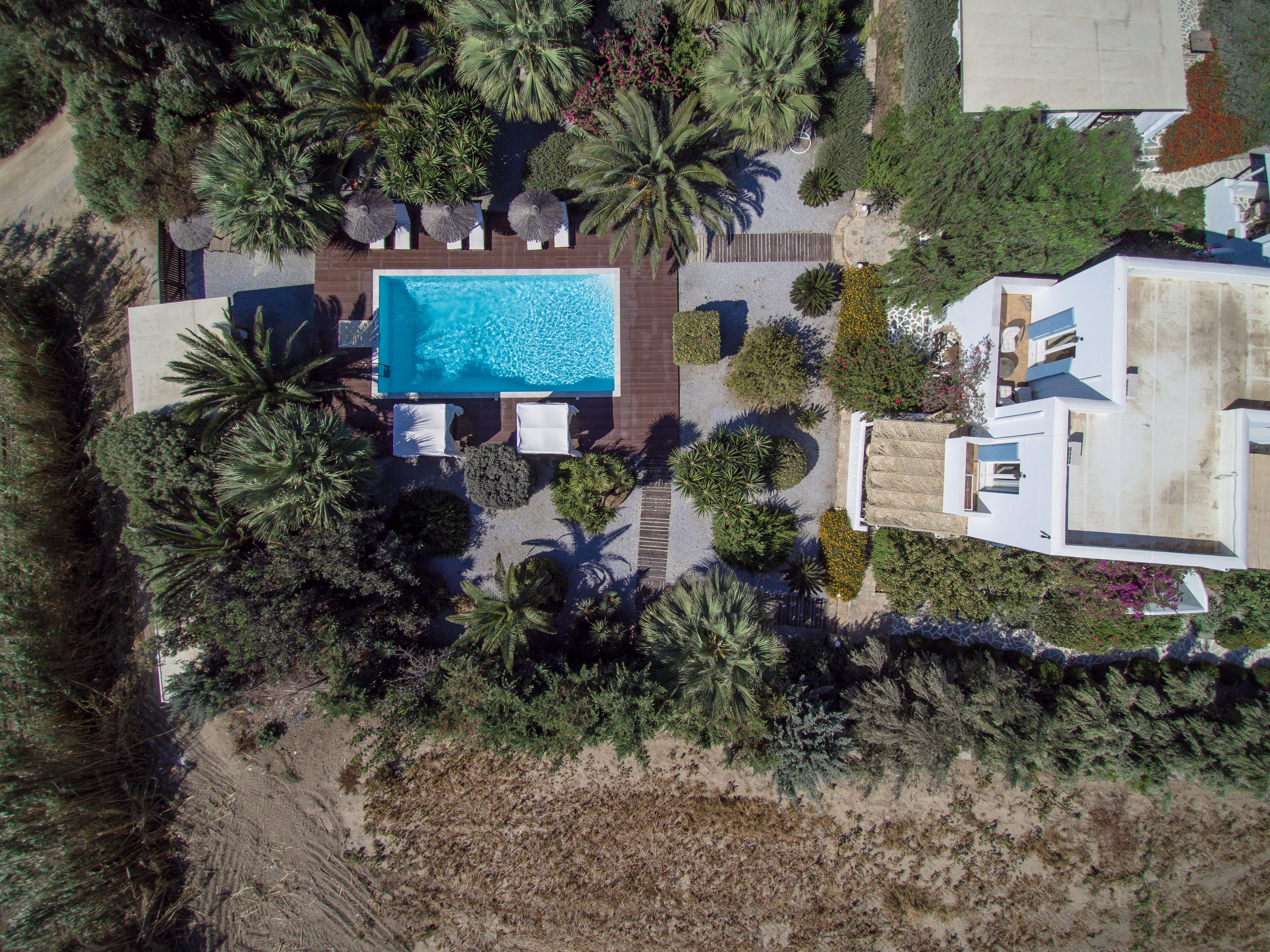 Vista aérea de una propiedad con piscina, rodeada de palmeras y otra vegetación, con una casa moderna contigua.