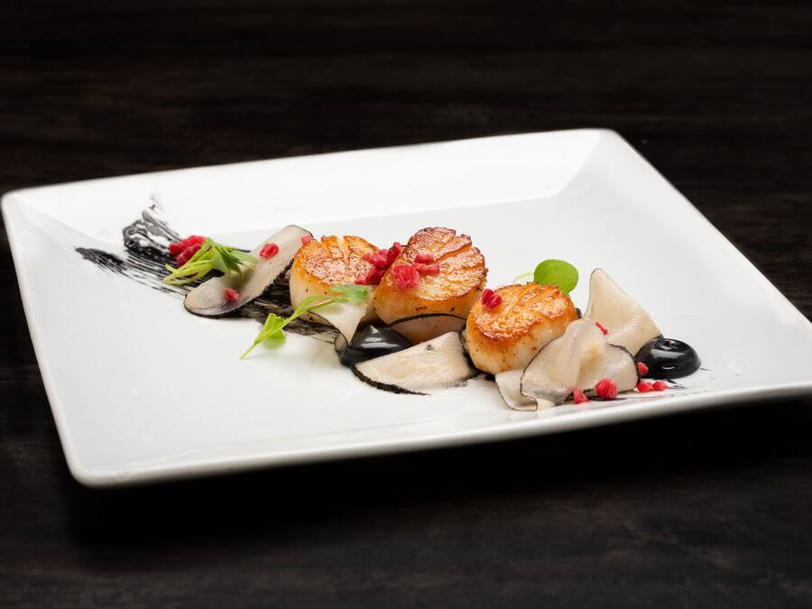 Un plato blanco cuadrado con un plato de vieiras a la plancha, adornado con microgreens y bayas rojas, sobre una mesa de madera oscura.