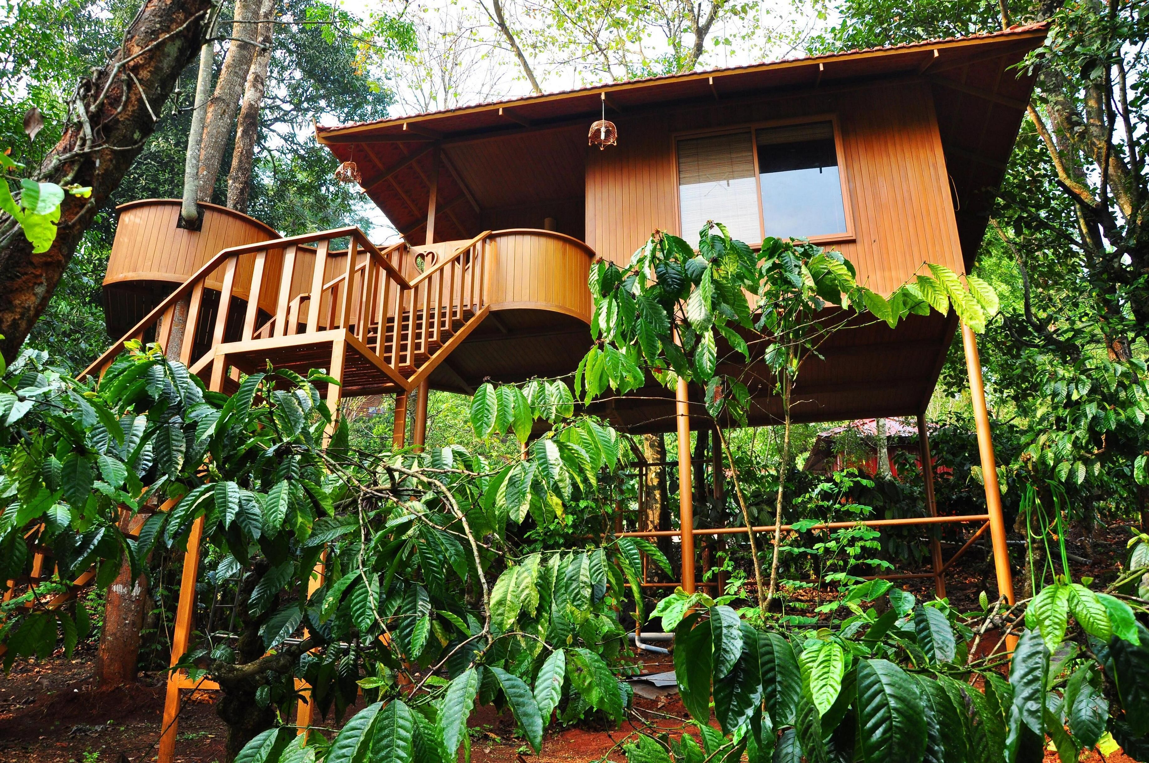 Tree house A/C | Balcony