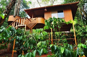 Habitación | Balcón