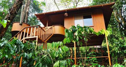 Planet Green Plantation Resort