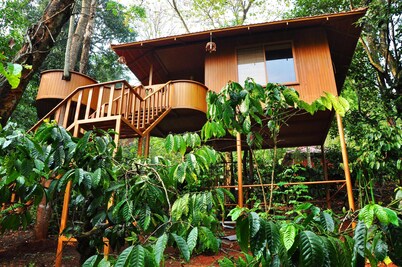 Planet Green Plantation Resort