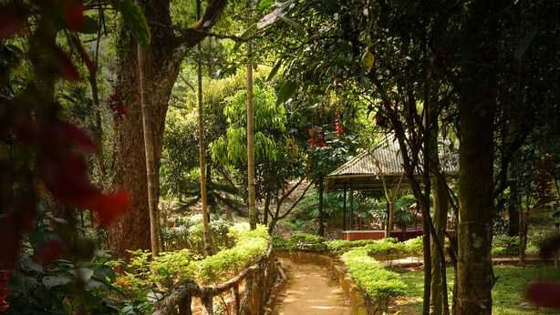 A pathway through a garden with a wooden fence and potted plants. - Glenmore Resorts (Devikolam)