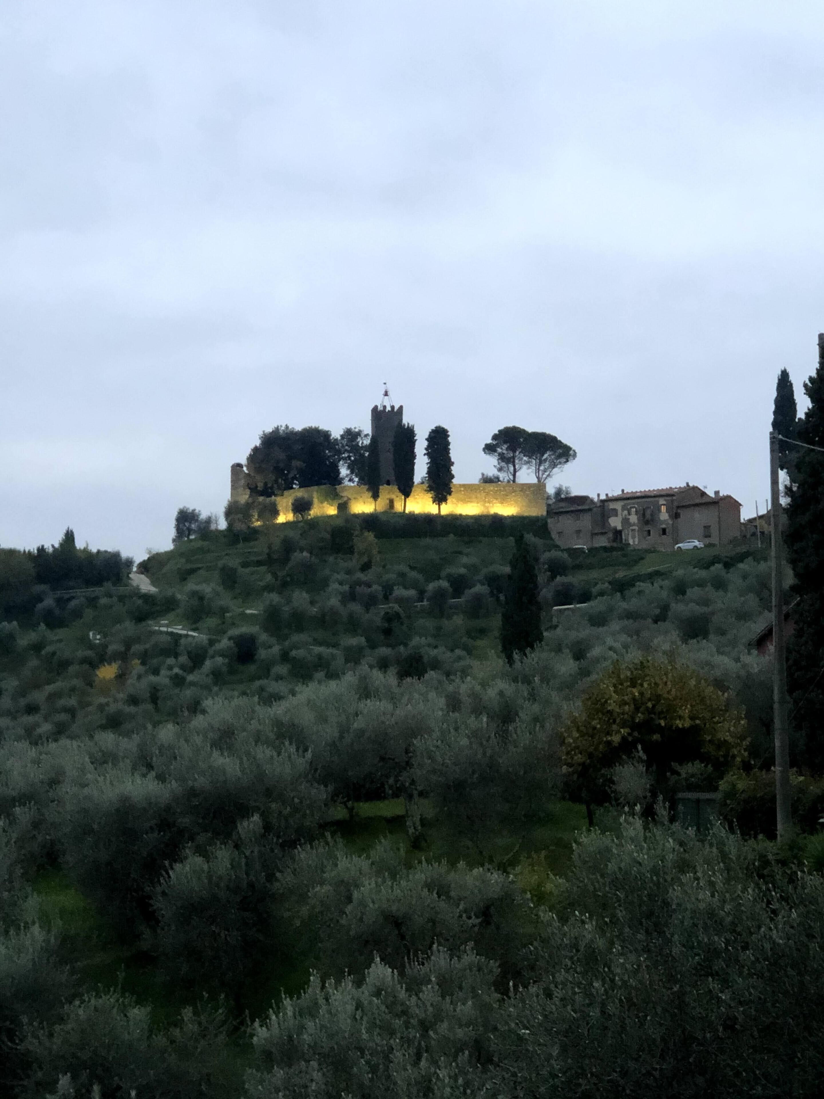 Un château perché sur une colline, entouré de végétation, avec un bâtiment en premier plan.