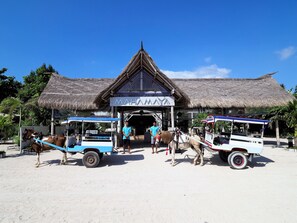 Đưa đón khu trung tâm thành phố