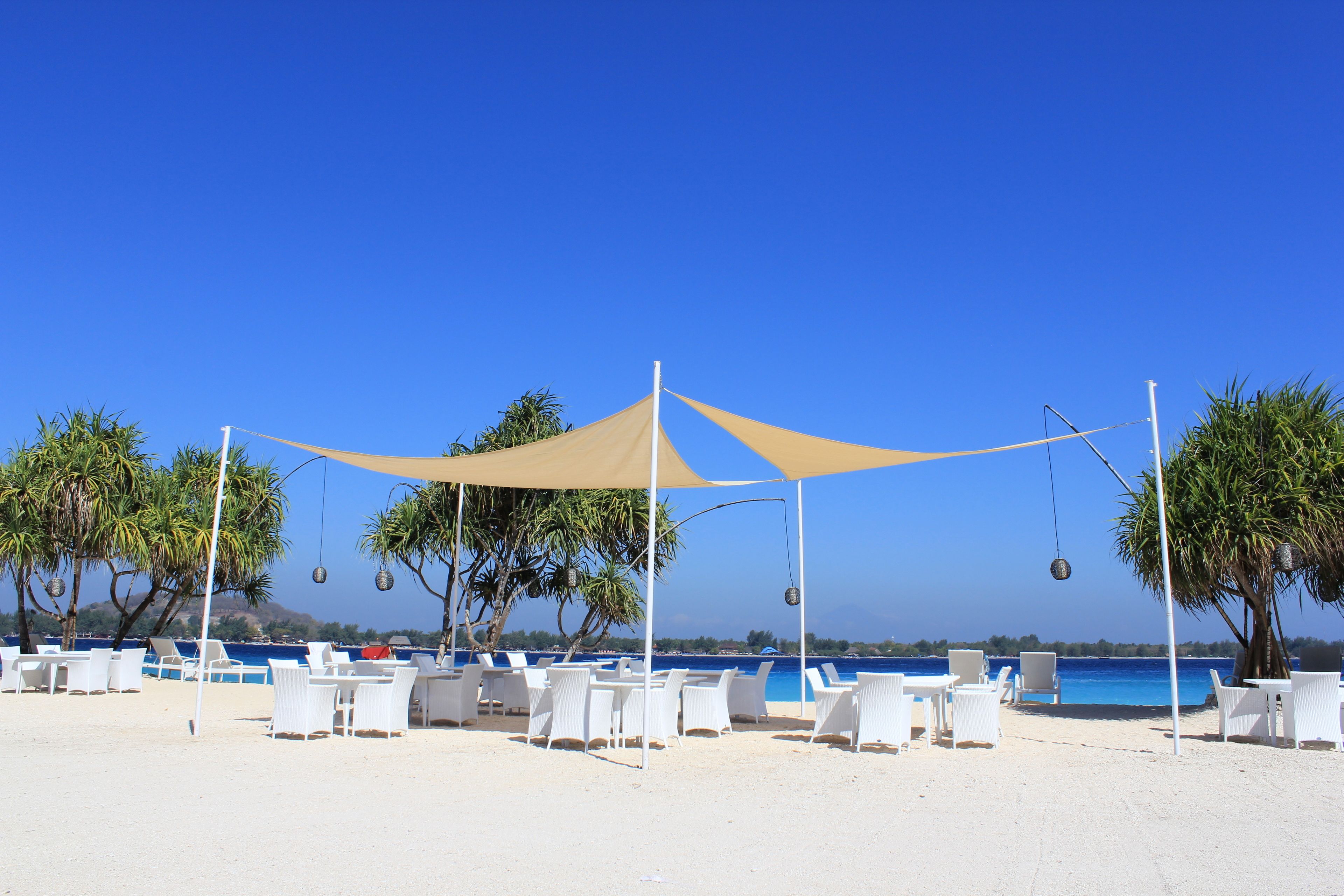 A beachside area with white lounge chairs and tables under a canopy, palm trees, and a clear blue sky.