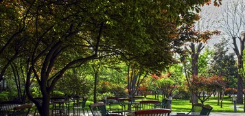 A park with benches and tables under trees.