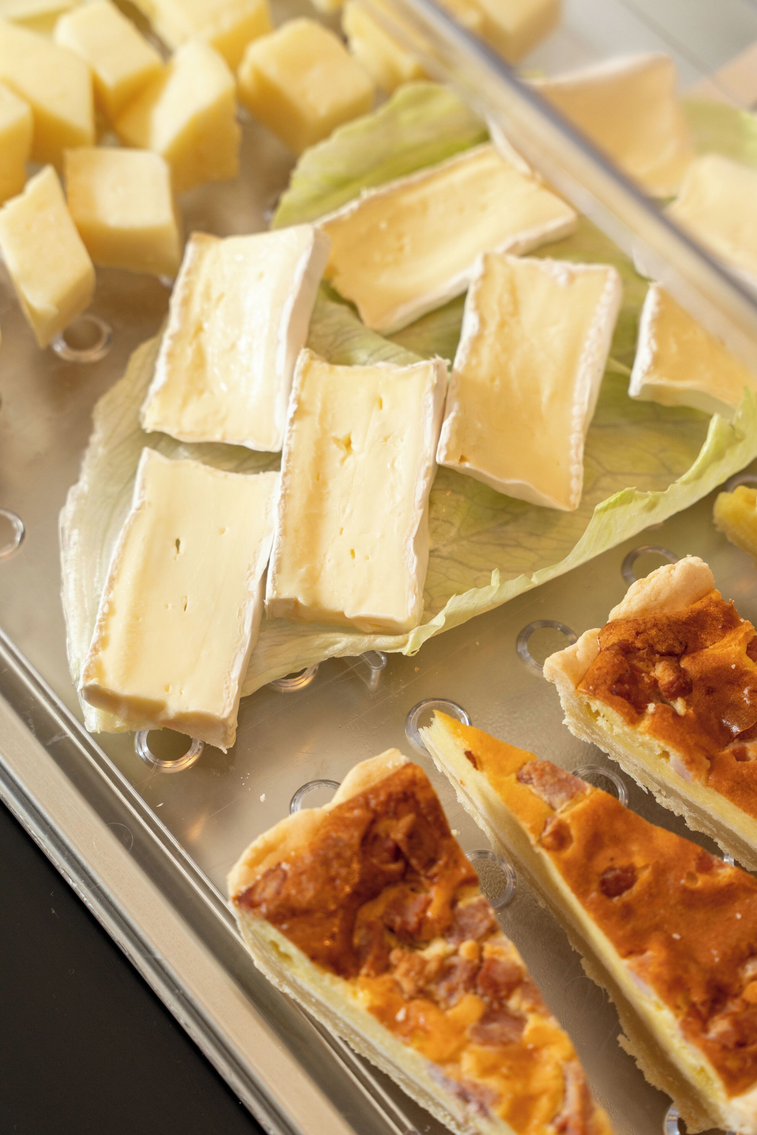 A tray with various food items including cubes of cheese and slices of a baked dish.