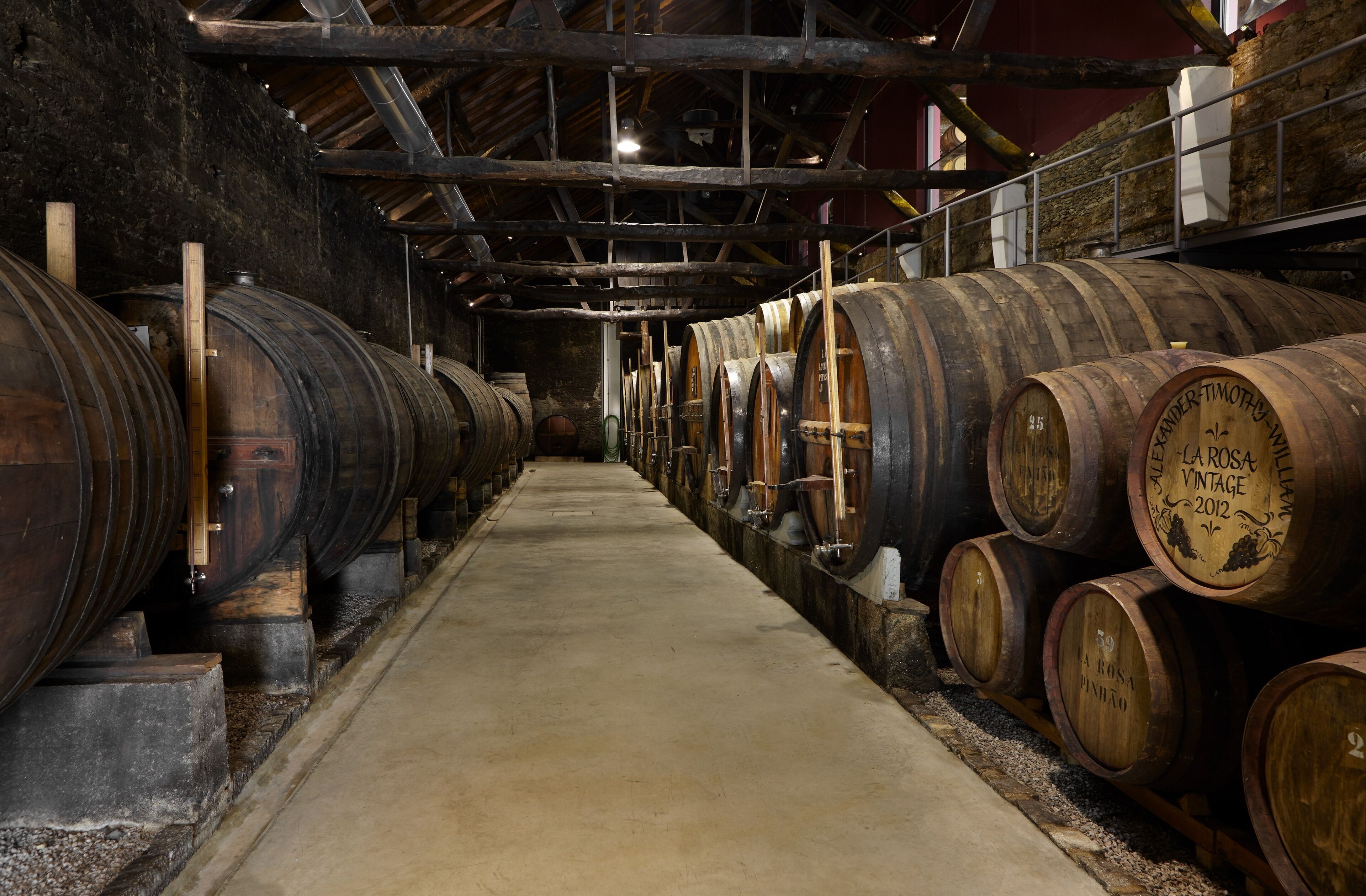 Vingård